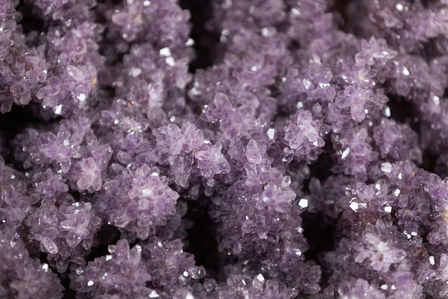 Amethyst | 1310