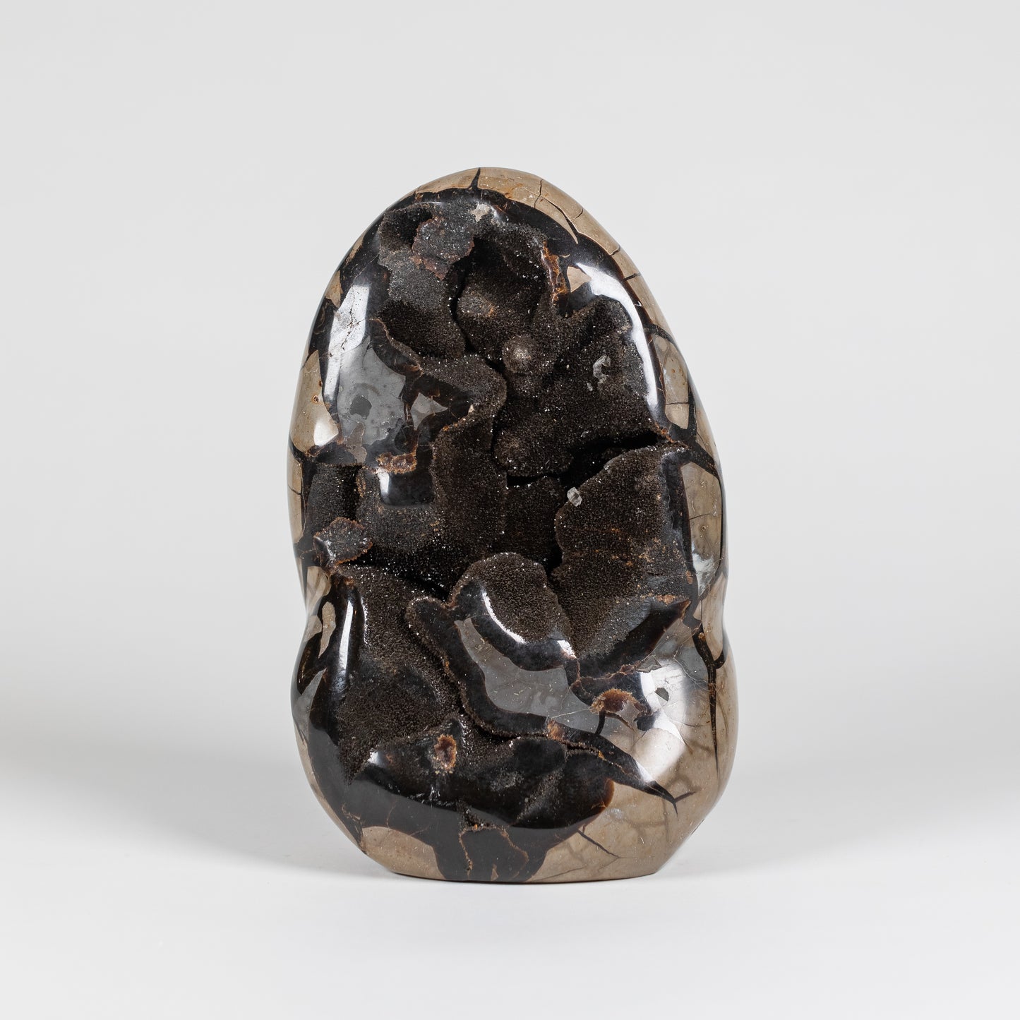 Septarian Freeform | 4275