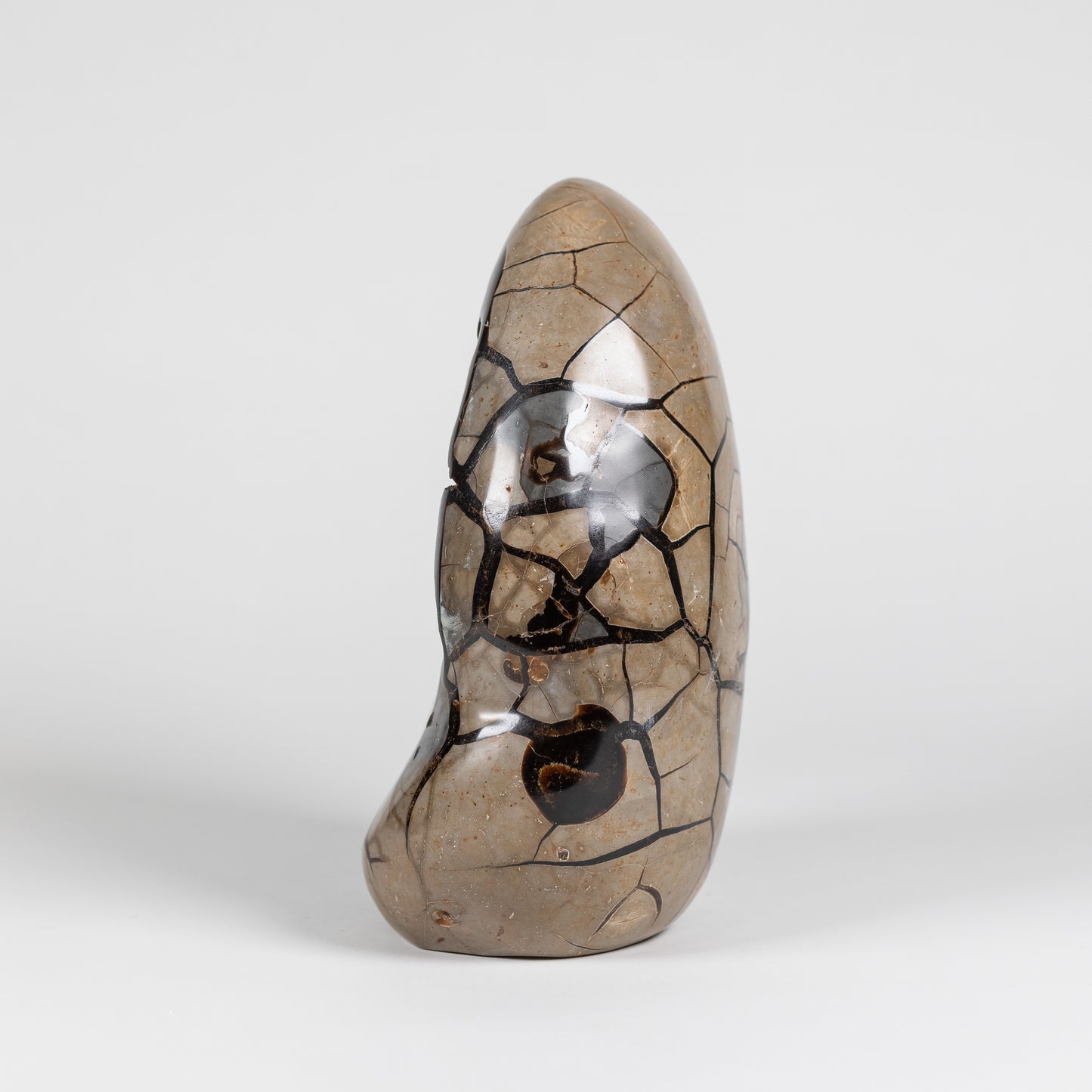 Septarian Freeform | 4275