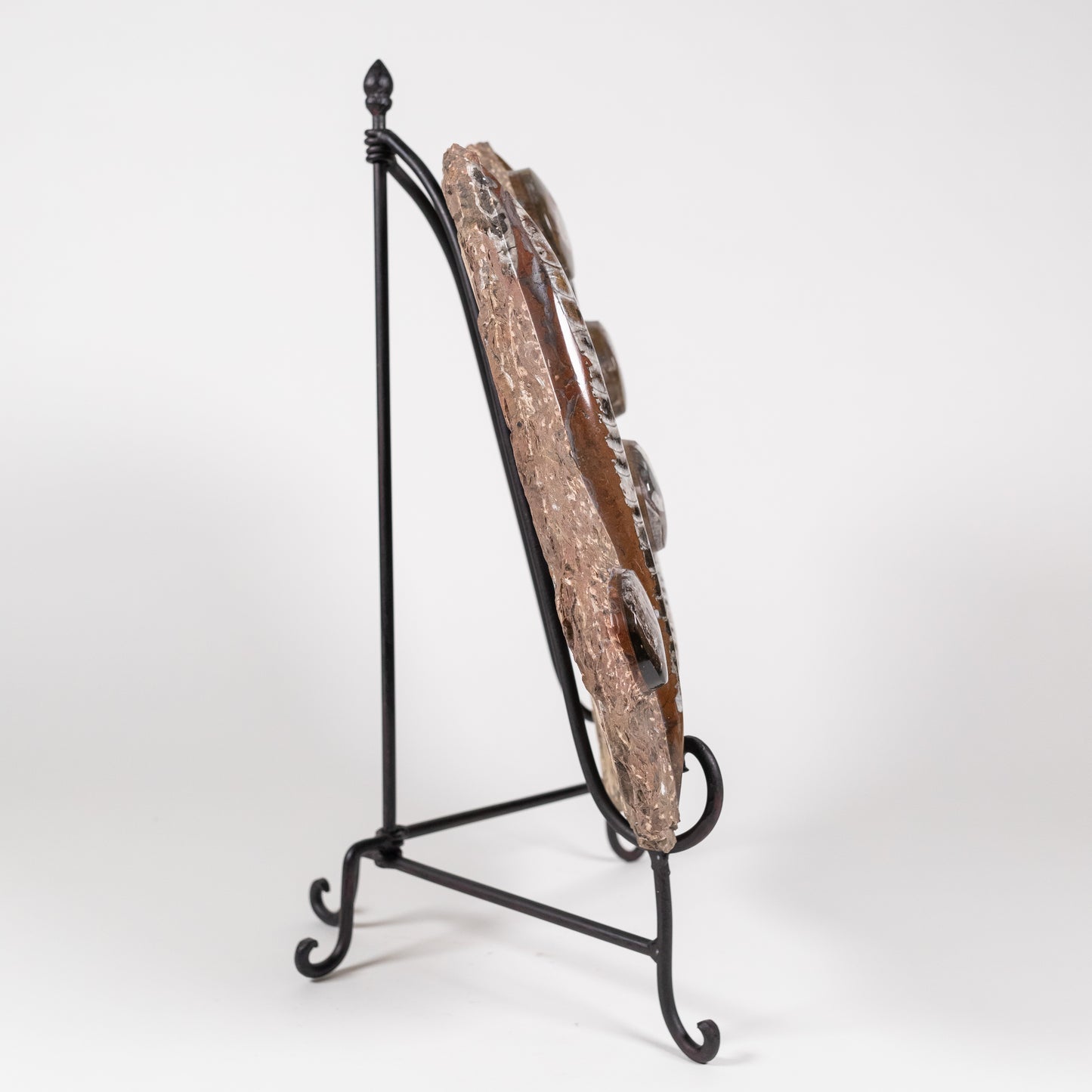 Fossil Slab | 4971