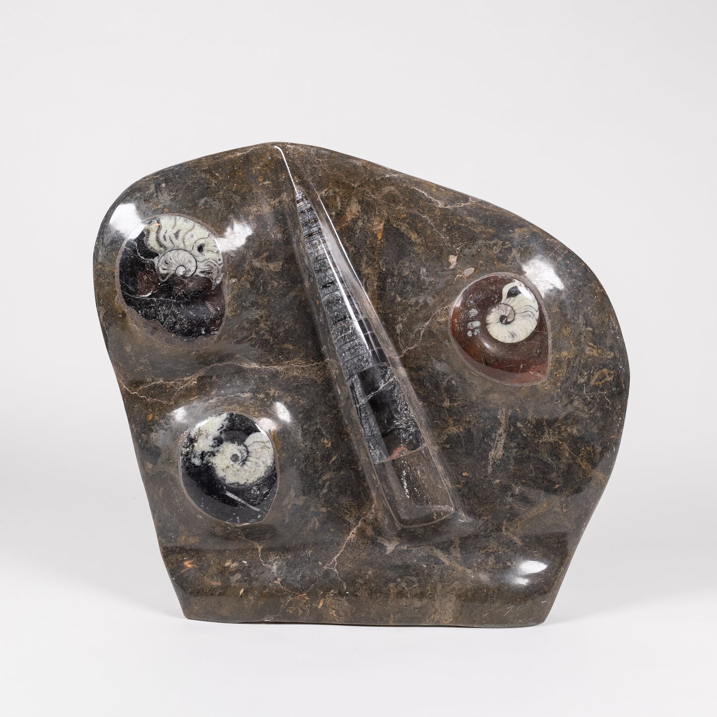 Fossil Sculpture | 5113