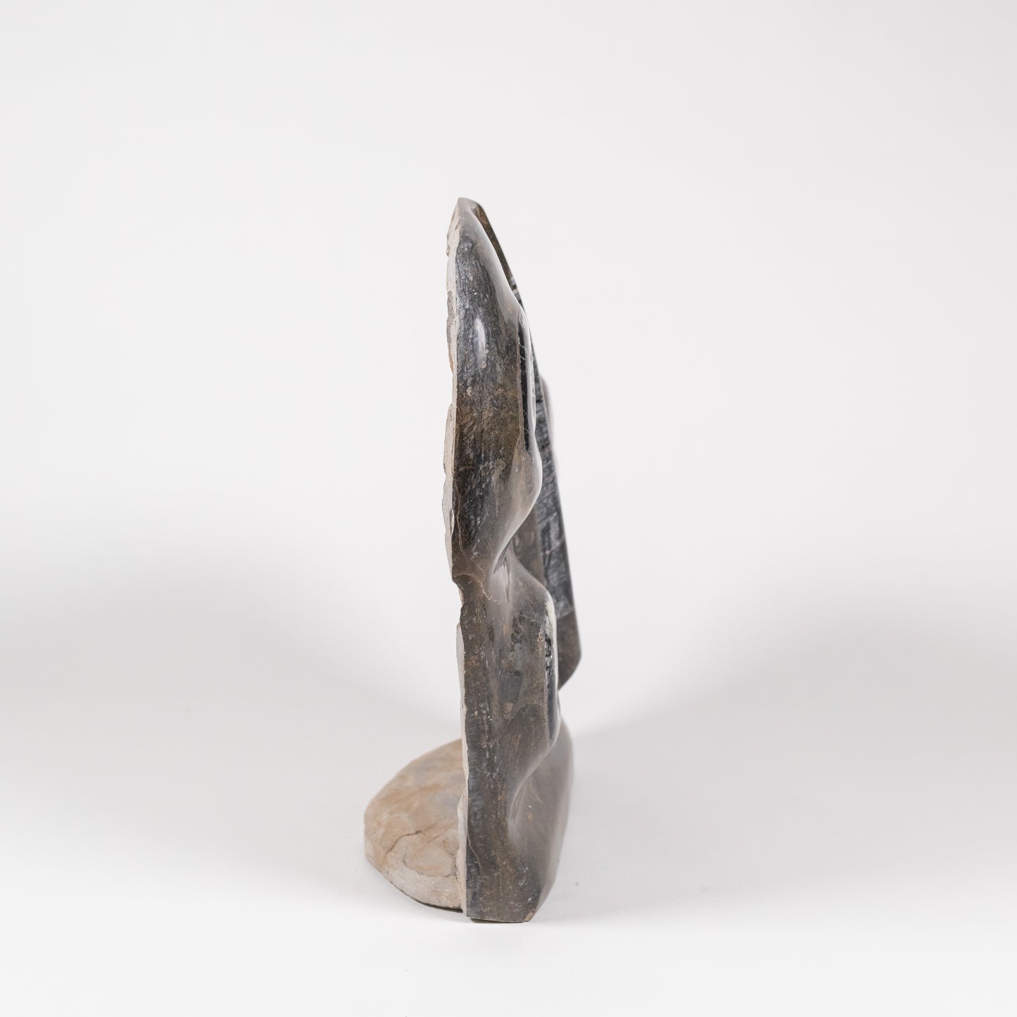 Fossil Sculpture | 5113