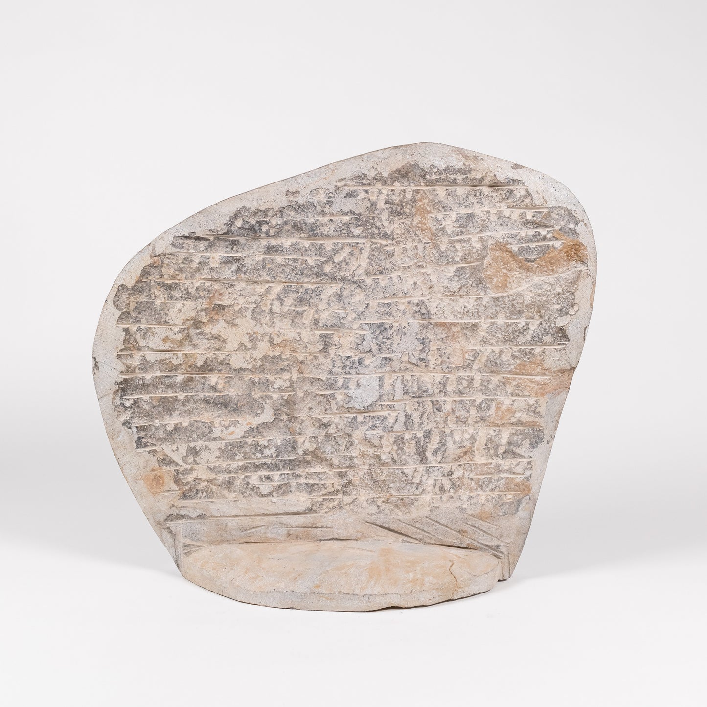 Fossil Sculpture | 5113