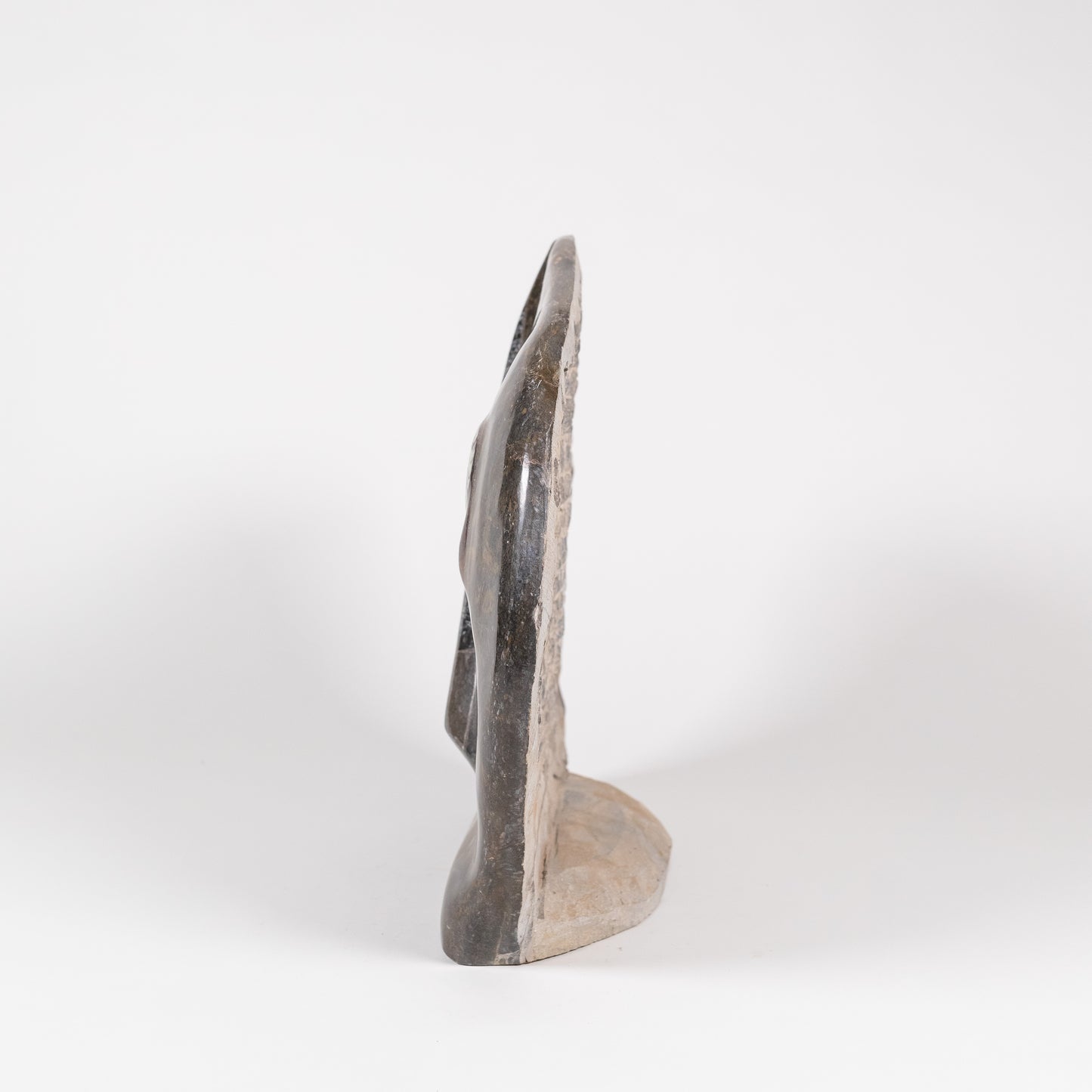 Fossil Sculpture | 5113