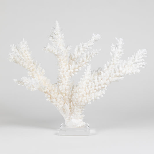 Coral - Branch | 6994