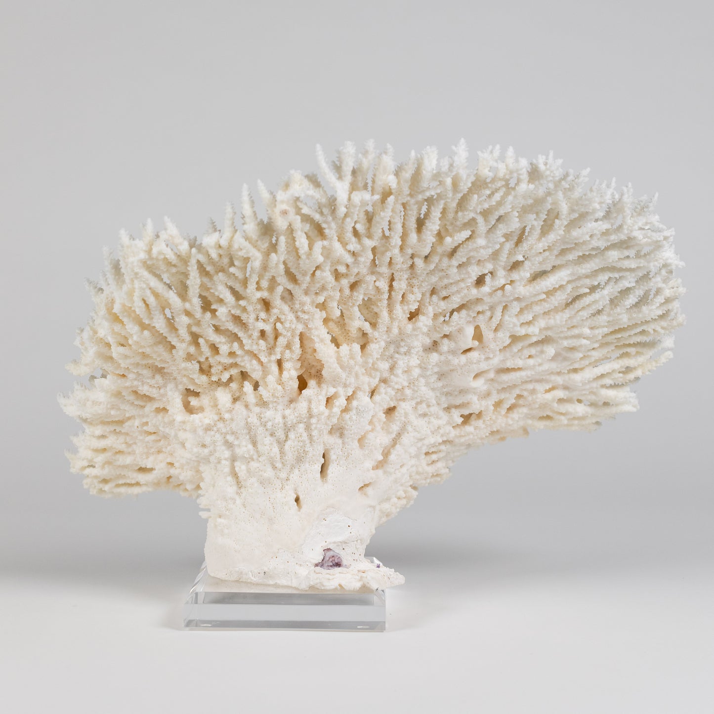 Coral - Pencil | 7009