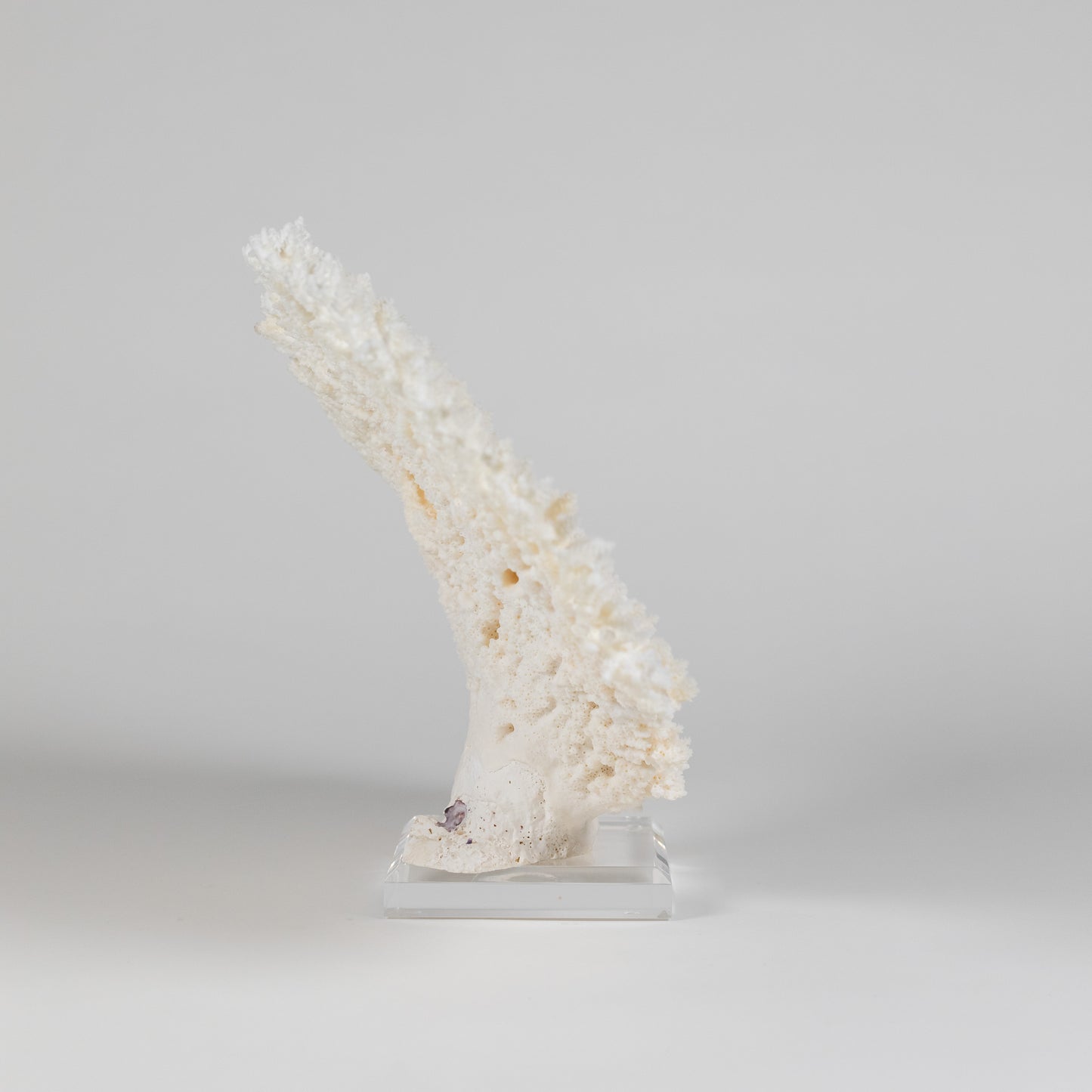 Coral - Pencil | 7009