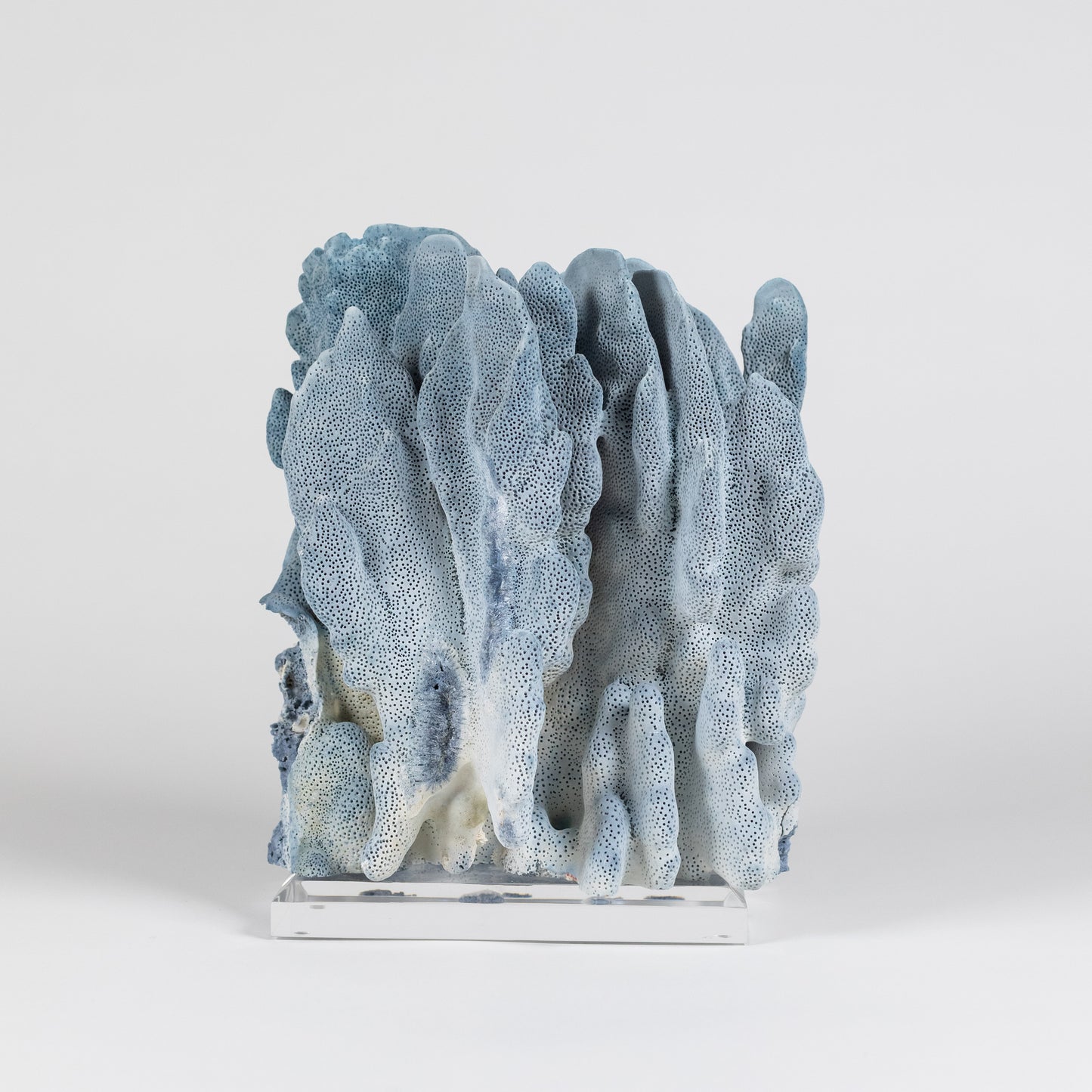 Coral - Blue | 7016