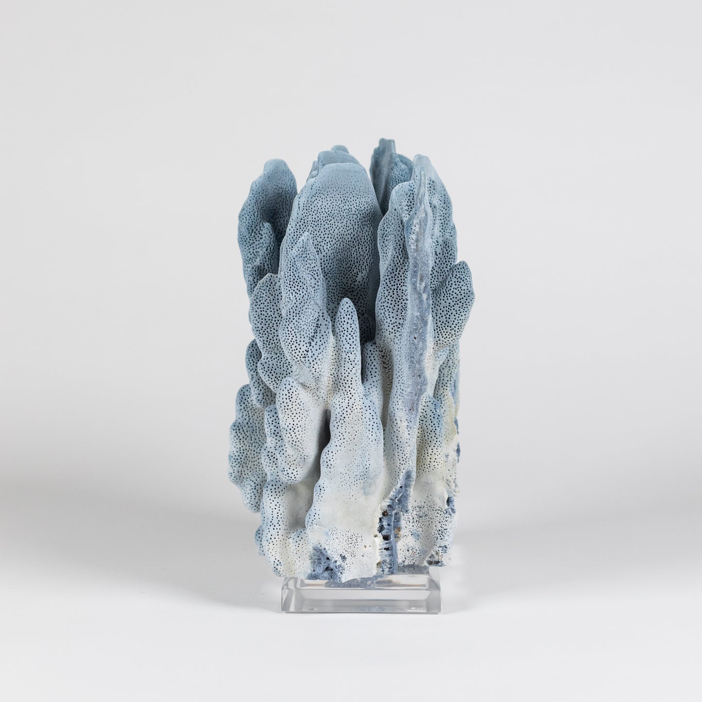 Coral - Blue | 7016