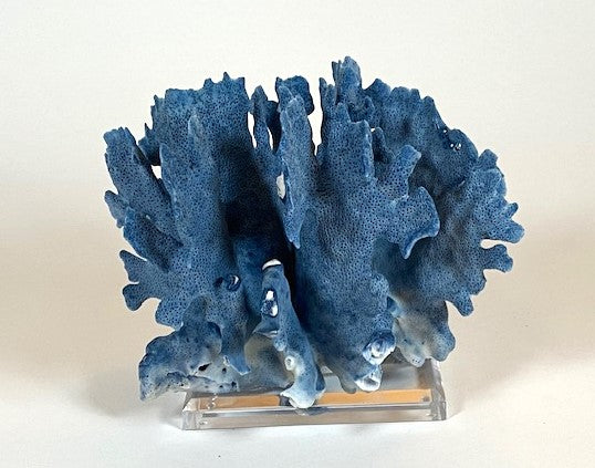 Coral - Blue | 7050