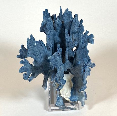 Coral - Blue | 7055