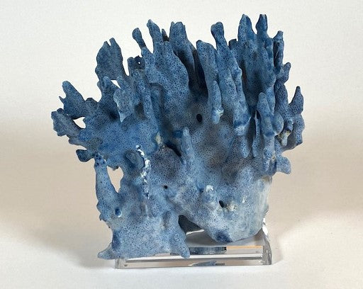 Coral - Blue | 7055