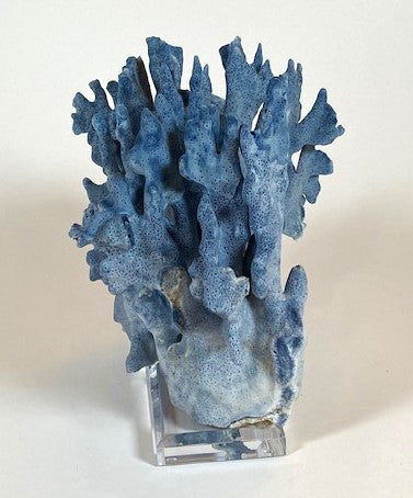Coral - Blue | 7055