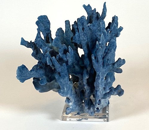 Coral - Blue | 7061
