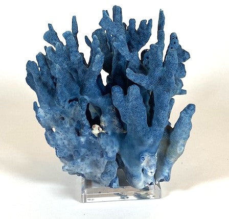 Coral - Blue | 7061