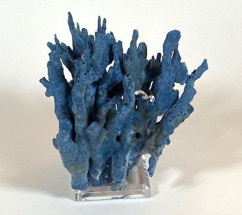 Coral - Blue | 7061