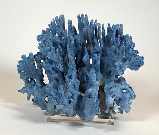Coral - Blue | 7071