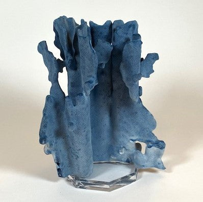 Coral - Blue | 7076