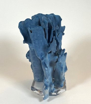 Coral - Blue | 7076