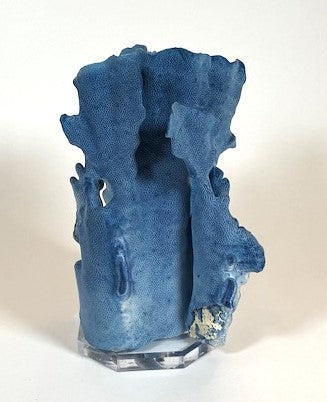 Coral - Blue | 7076