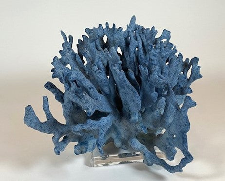 Coral - Blue | 7077