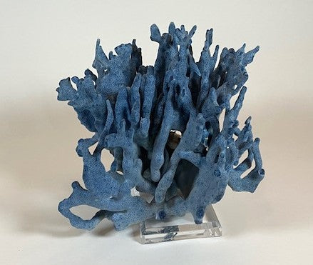 Coral - Blue | 7077
