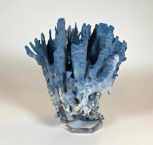 Coral - Blue | 7078